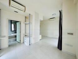 Lincoln Suites (D11), Condominium #453388791
